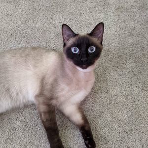 Meet your Posher, Angela